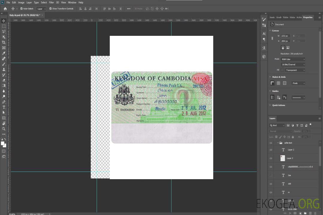Visa CAMBODGE template